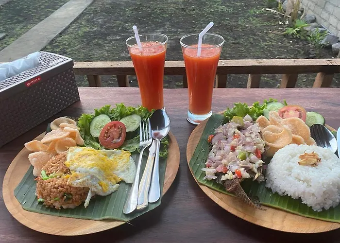 Bali Volcano ゲストハウス 4*